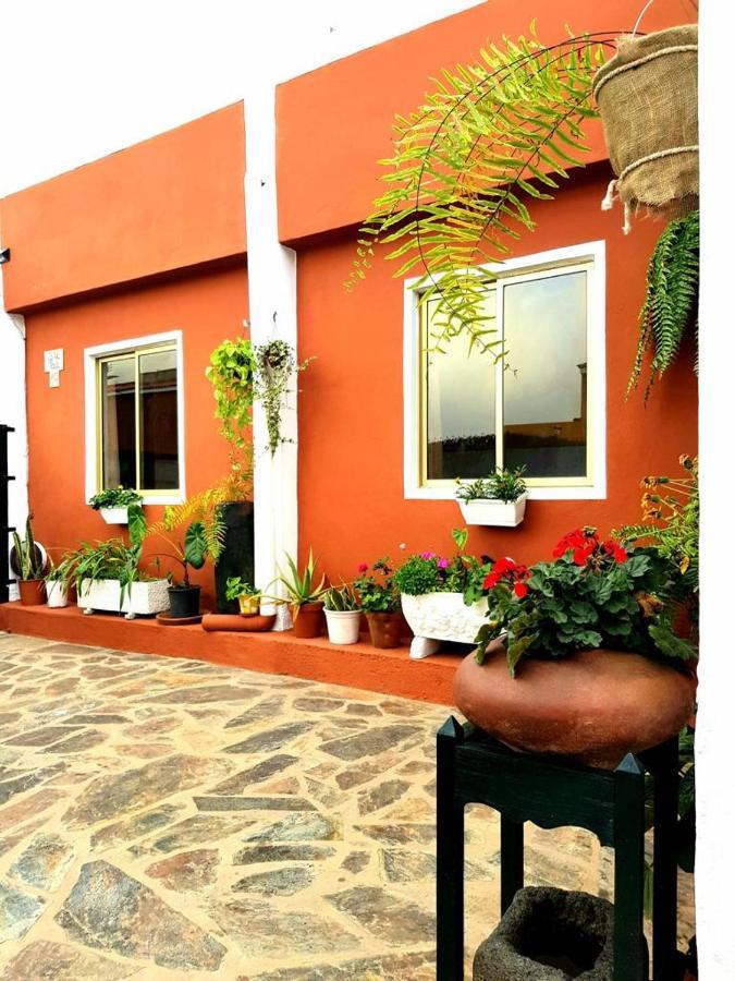 Vivienda Vacacional Ca Na Paula ラ・オロタバ エクステリア 写真
