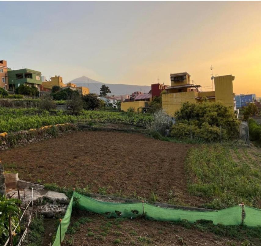 Vivienda Vacacional Ca Na Paula ラ・オロタバ エクステリア 写真