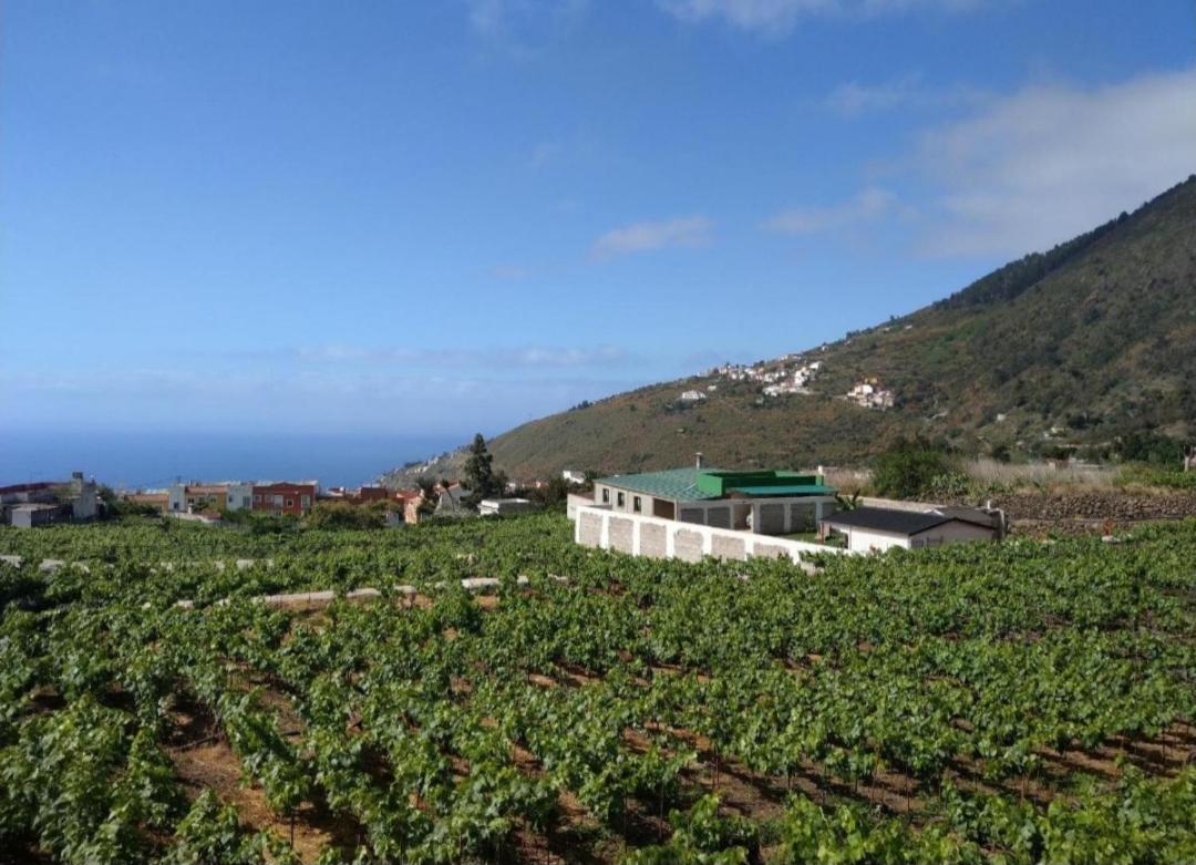 Vivienda Vacacional Ca Na Paula ラ・オロタバ エクステリア 写真