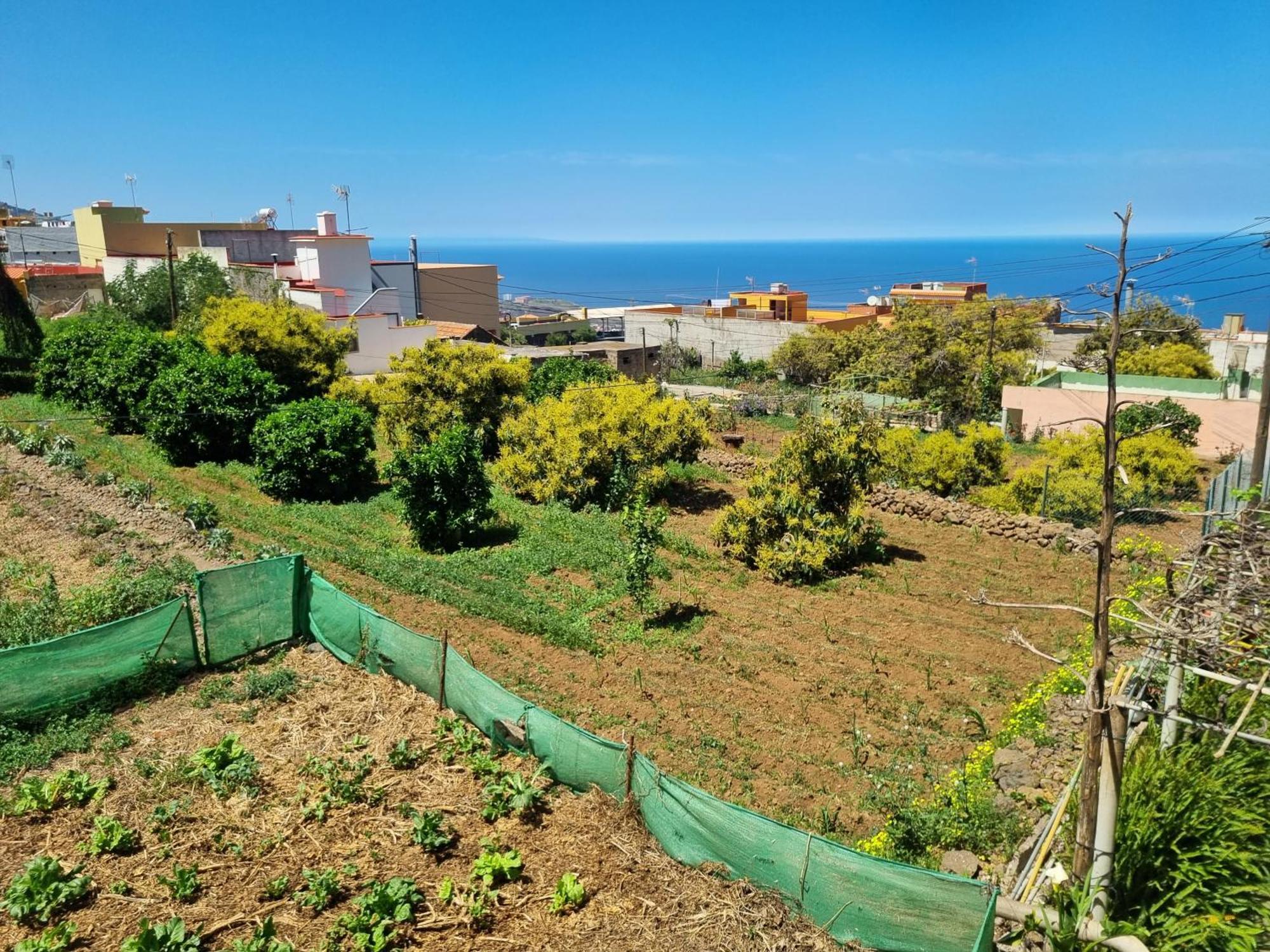 Vivienda Vacacional Ca Na Paula ラ・オロタバ エクステリア 写真