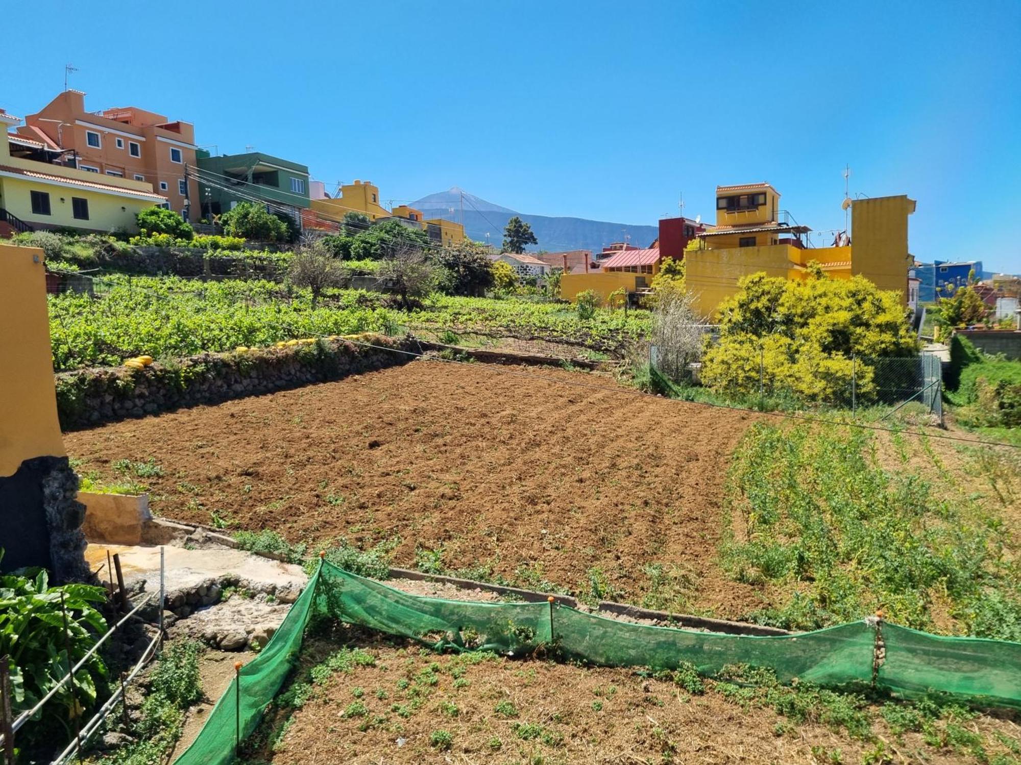 Vivienda Vacacional Ca Na Paula ラ・オロタバ エクステリア 写真