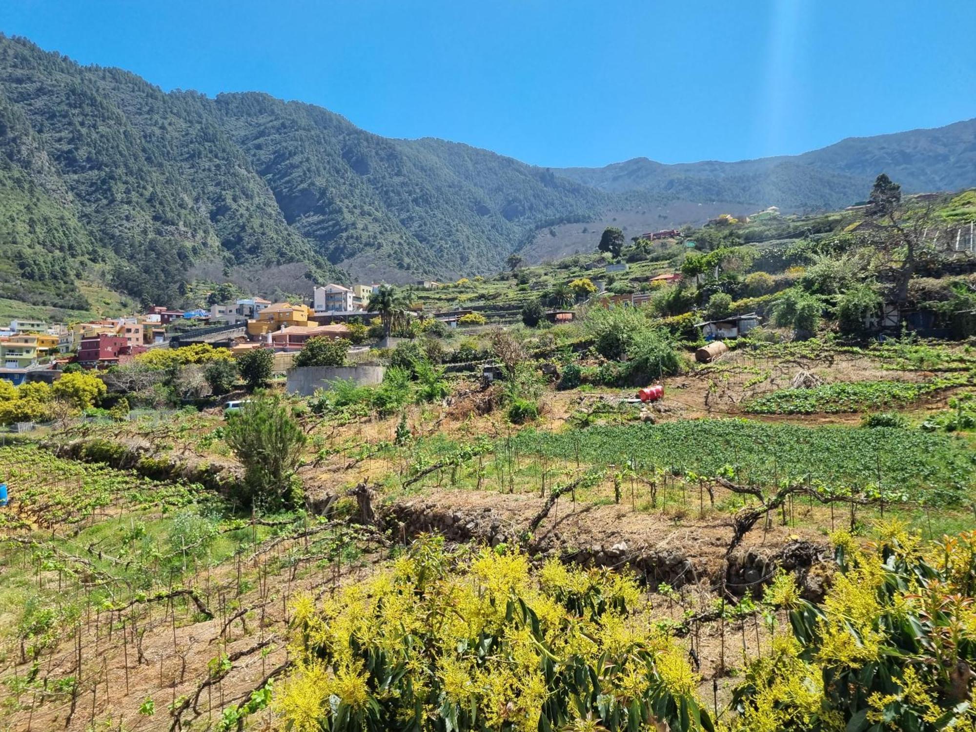 Vivienda Vacacional Ca Na Paula ラ・オロタバ エクステリア 写真